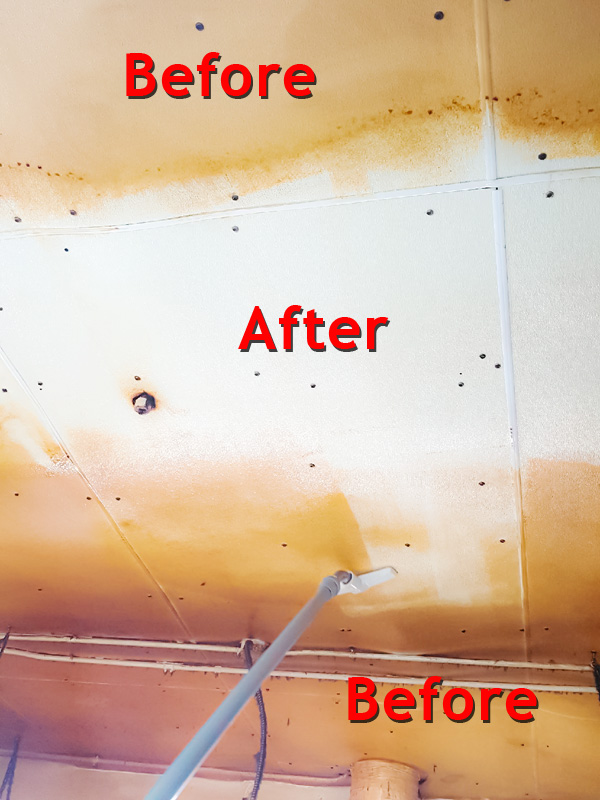 Before and after photos